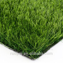 ornamental indoor and outdoor plants / fack grass carpet grass turf